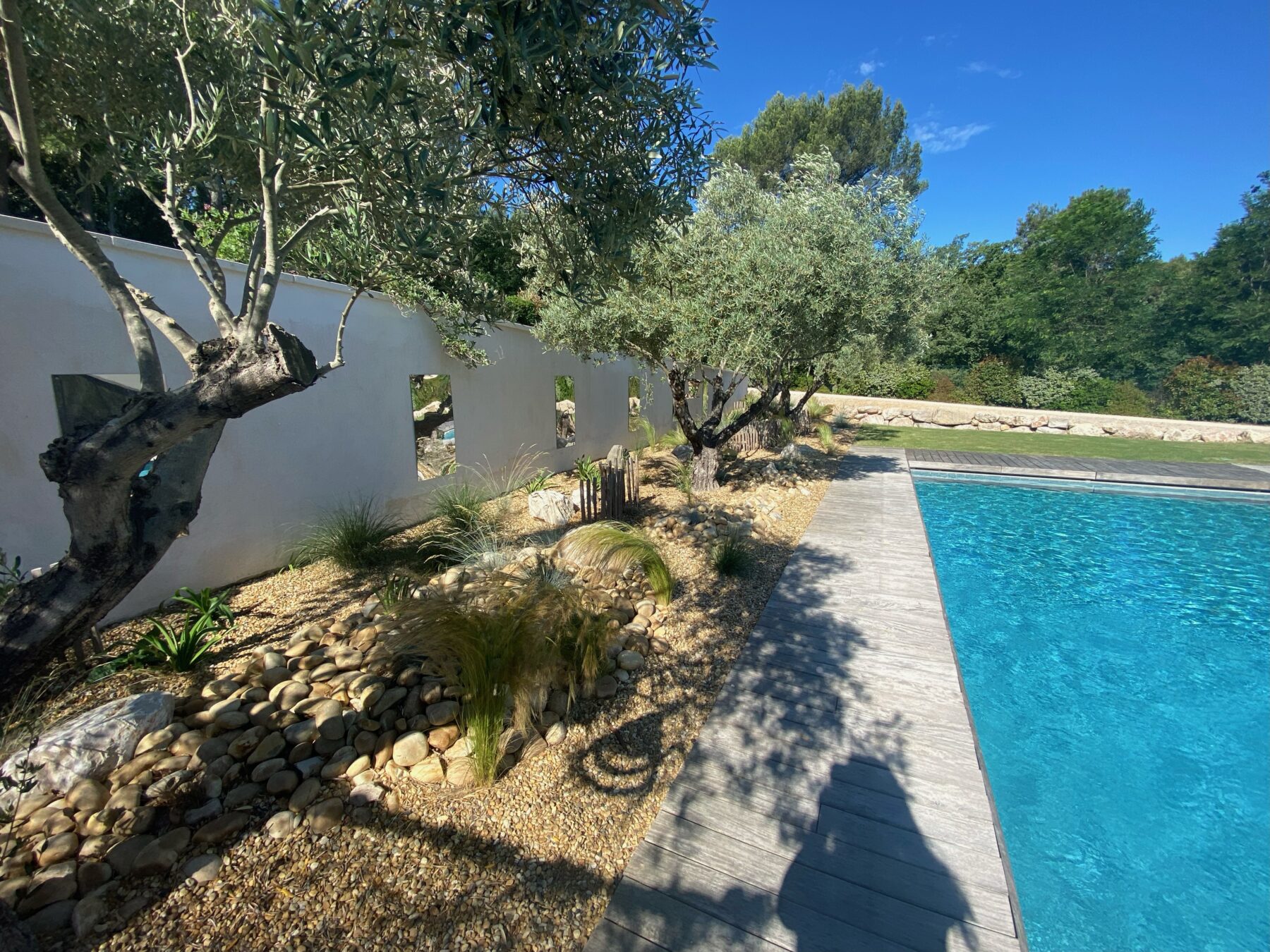 Plage de piscine les jeunes pousses