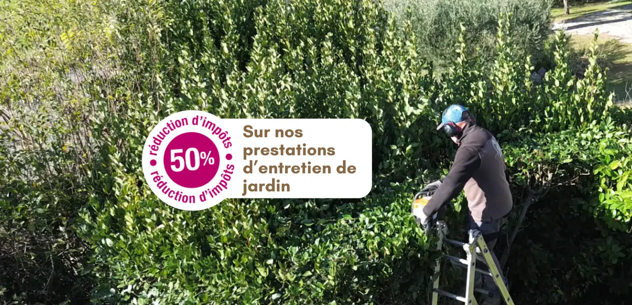 Entretien de jardin par Les Jeunes Pousses