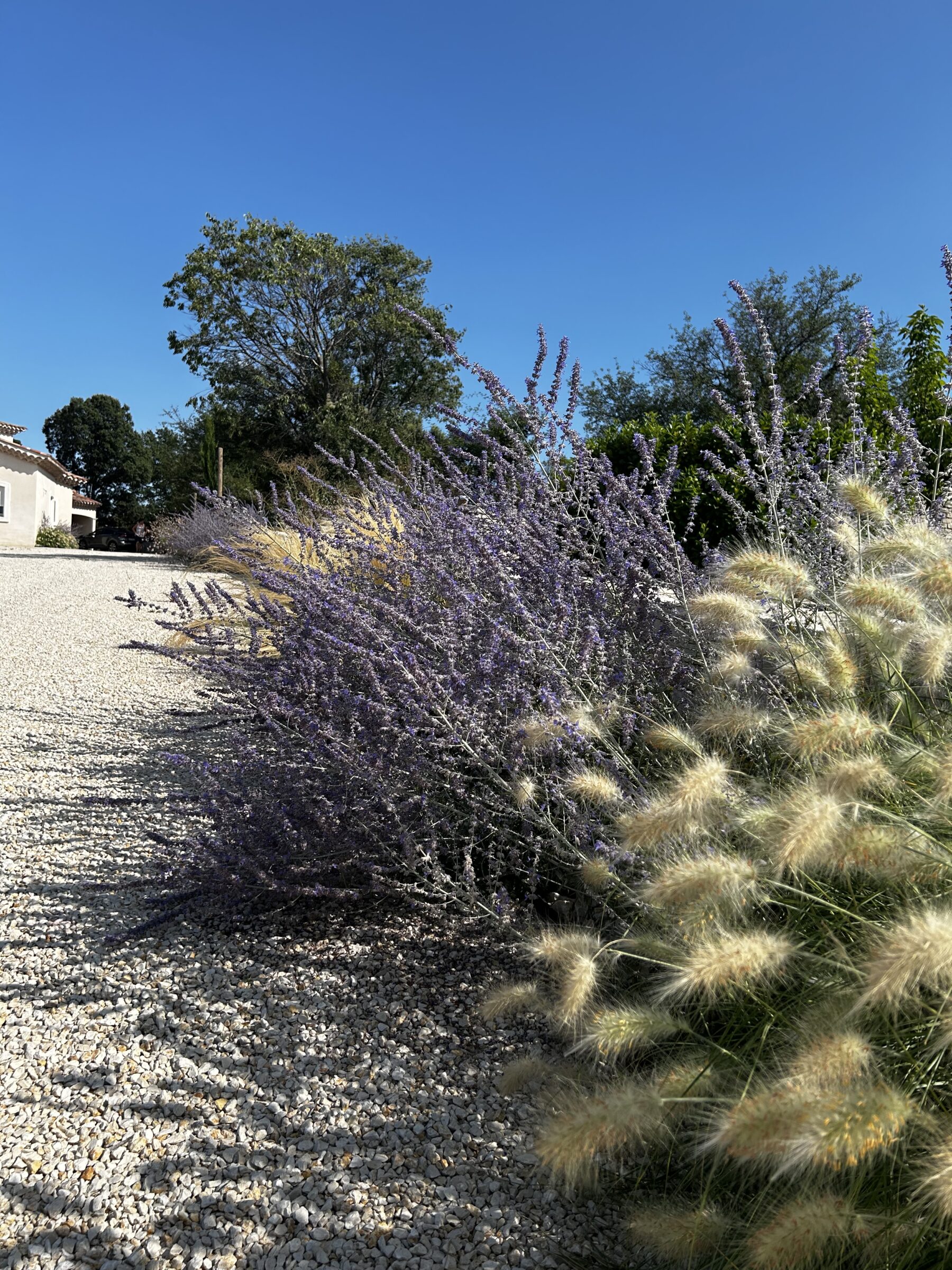 réalisation paysagère